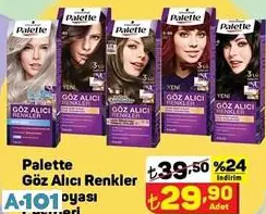 PALETTE GÖZ ALICI RENKLER SAÇ BOYASI